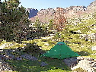 Quand le soir tombe et que la contemplation vous offre le silence, voici les chamois.