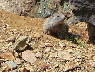 Balades et randonnées personnalisées en Pyrénées, autour du Ruhle.