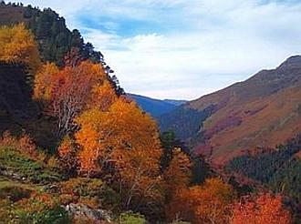 Retraites en silence en automne